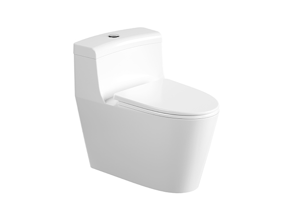 One-Piece Toilet